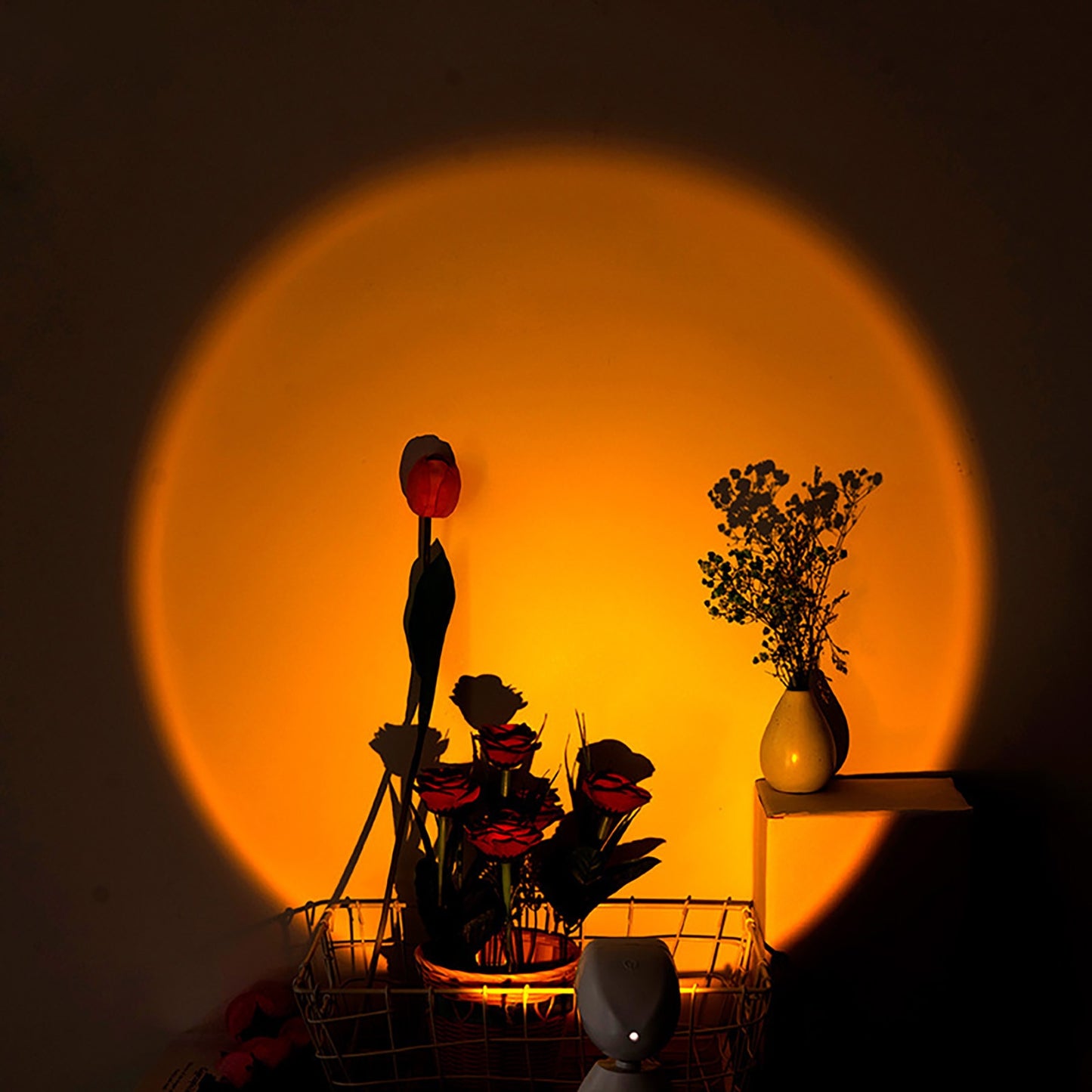 A colorful, illuminated circle creates a backdrop for a silhouette of a vase with flowers and other decor items on a shelf.