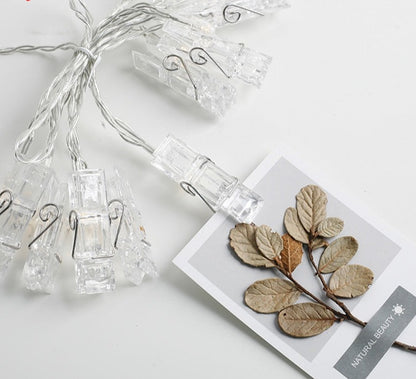 A close-up of a string of clear clip lights attached to a wire, with one clip holding a photograph of a dried plant, illustrating the use of the clips for decorative purposes.