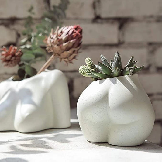 Another setting where the vase is used as a planter for a succulent, shown alongside another vase of similar style, creating a harmonious aesthetic on a sunny patio.