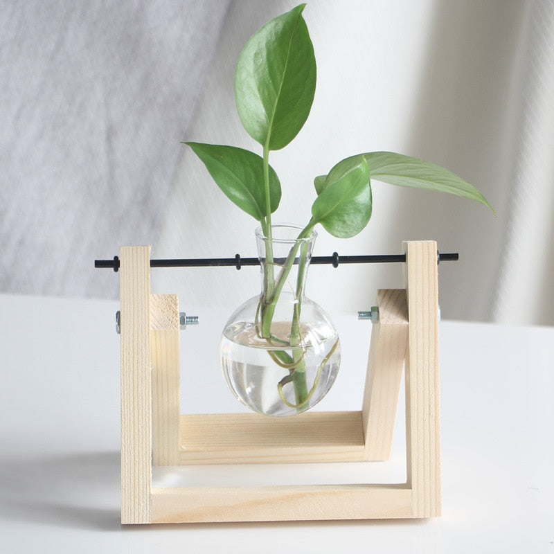 A close-up of a single terrarium vase with one clear bulb on a light wooden stand, illustrating a clean and modern aesthetic for a nature-inspired room.