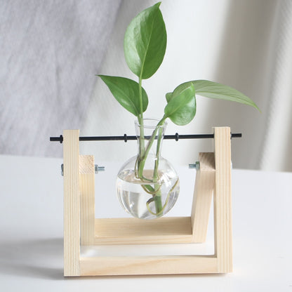 A close-up of a single terrarium vase with one clear bulb on a light wooden stand, illustrating a clean and modern aesthetic for a nature-inspired room.