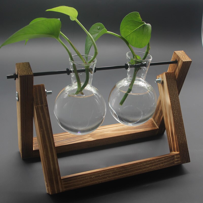A pair of terrarium vases on a dark wooden stand with spherical bulbs, set against a warm light, emphasizing a snug and inviting atmosphere ideal for a relaxing room decor.