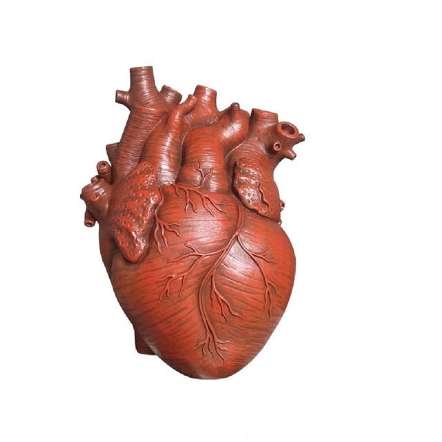 A red ceramic heart-shaped vase, offering a life-like representation of a human heart, adding a dramatic and educational element to decor.