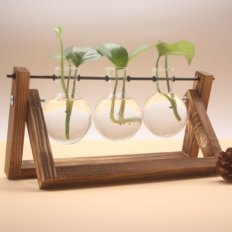 Three terrarium vases on a dark wooden stand with spherical glass bulbs, warmly lit from above, each containing a green plant, fitting a cozy and dreamy room decor theme.