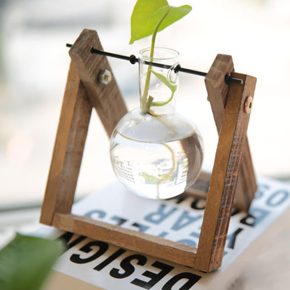 A single terrarium vase with a spherical glass bulb on a dark wooden frame, holding a green plant with a white backdrop, perfect for a simple and elegant desk decor.