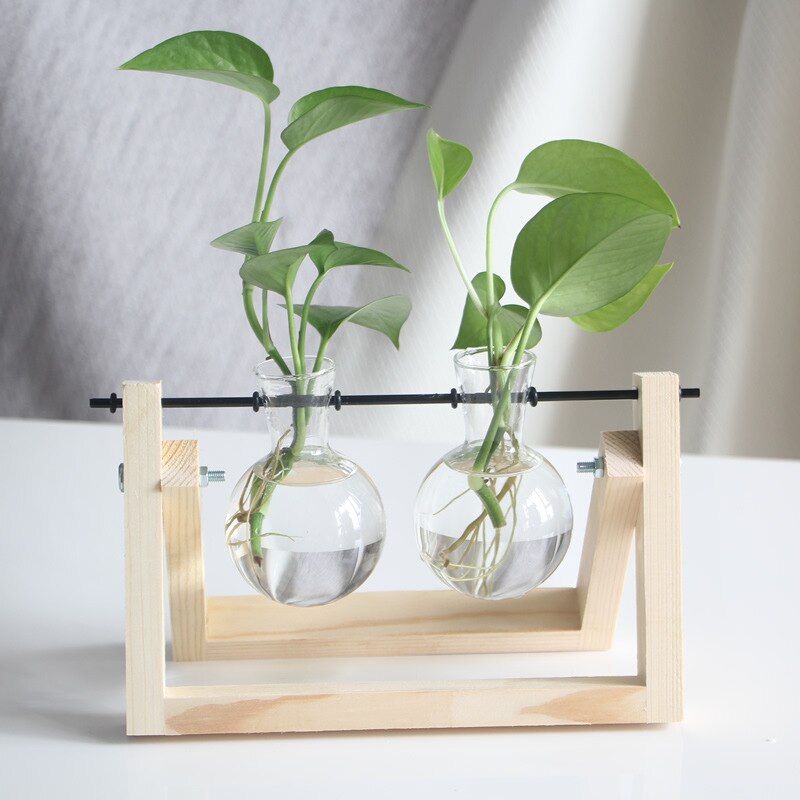 A pair of terrarium vases on a light wooden stand with spherical glass bulbs, providing a fresh and clean look suitable for a minimalistic or Danish pastel decor.