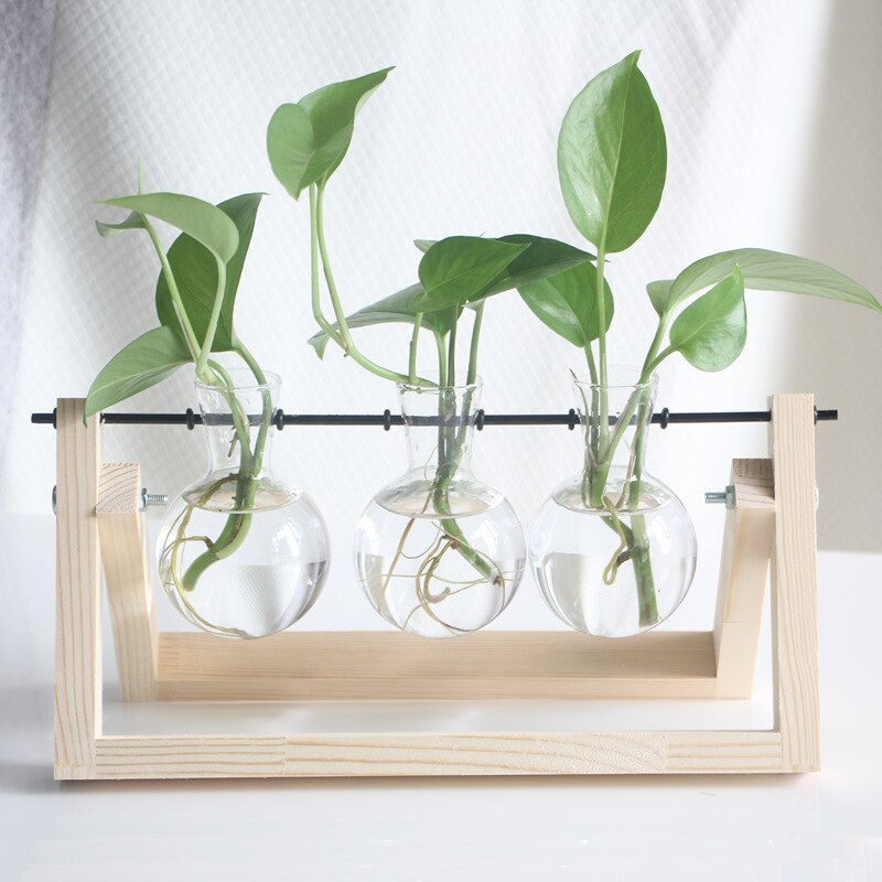A modern terrarium vase with three clear bulbs holding green plants, mounted on a light wooden frame, embodying a minimalist and nature-inspired room decor.