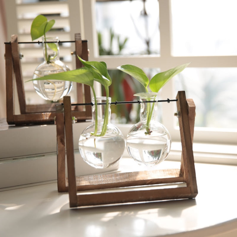 Multiple terrarium vases with clear bulb containers on dark wooden stands, each holding a single green plant, suitable for desk accessories or a natural touch in a home office setting.