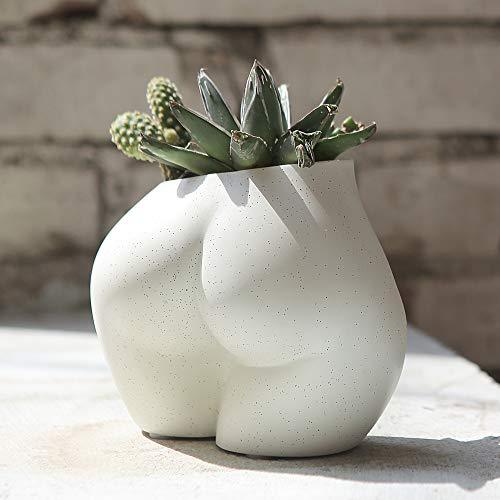 The abstract ceramic vase, upright and filled with a succulent plant, highlighting the vase's design which complements the organic form of the plant.